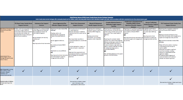 Click to view CPA Service Package Snapshot