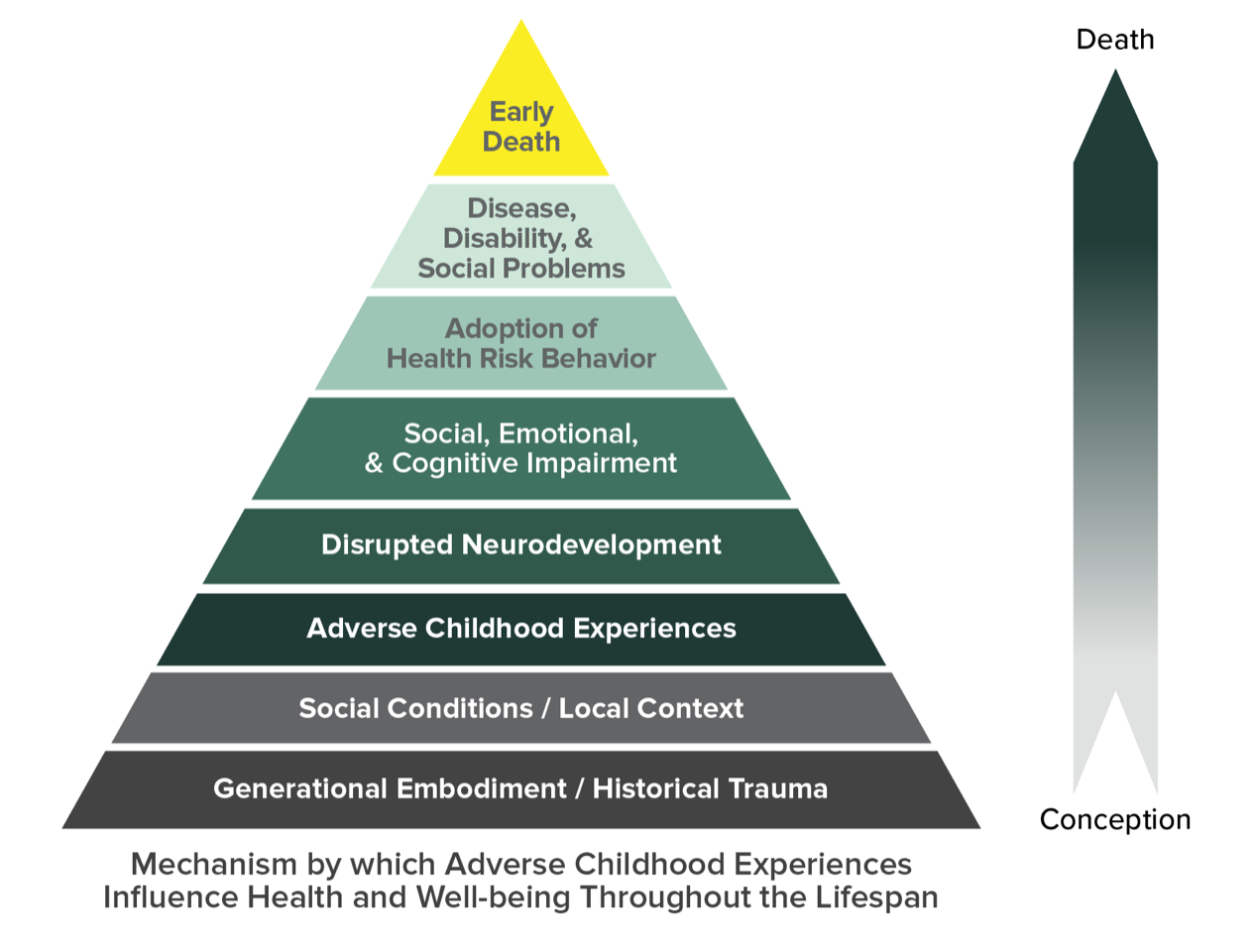 Pyramid Chart: Mechanism by Which Adverse Childhood Experiences Influence Health and Well-being Throughout the Lifespan. CDC.gov