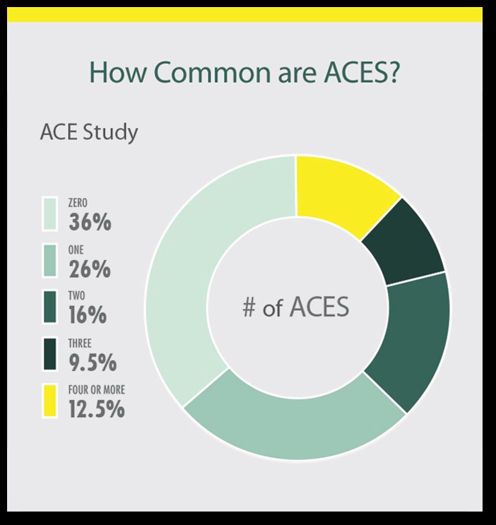 Graph: How Common are ACEs? From the ACE Study: Zero = 36%, One = 26%, Two = 16%, Three = 9.5%, Four or More = 12.5%. CDC.gov